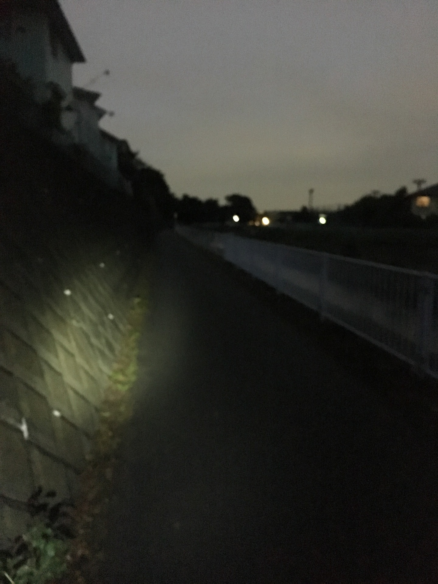 境川 サイクリング ロード